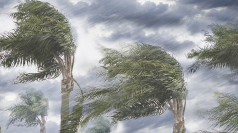 Episode 7- Be Prepared for Hurricane Season- Liability in a Storm